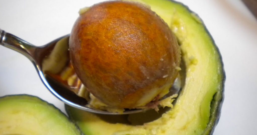 After You Read This, You’ll Never Throw Away Your Avocado Seeds Again