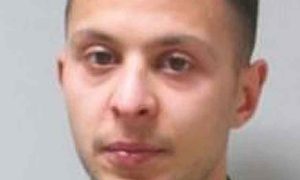 Paris attacks suspect Salah Abdeslam ‘had German nuclear files’