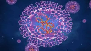 Why Did The Government Just Buy 119 Million Dollars Worth Of Monkeypox Vaccine?