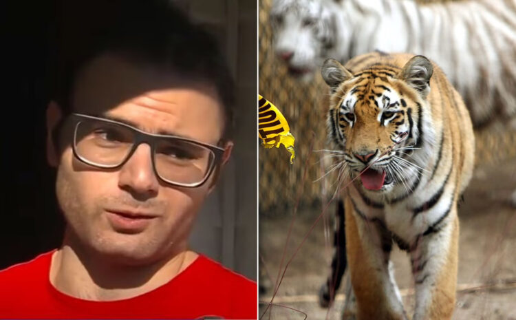 Man Tried to Enter Zoo’s Tiger Cage, It Didn’t End Well for Him