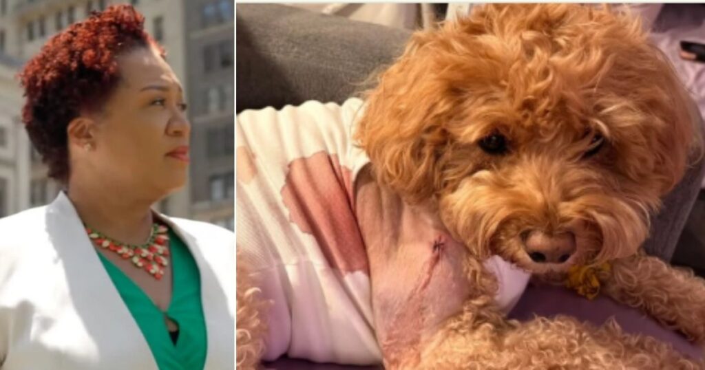 Report: Brooklyn Judge Frees Attempted-Murder Defendant After Stray Bullet Hits Woman’s Service Dog